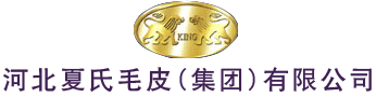 邢臺市中隆水工設備有限公司